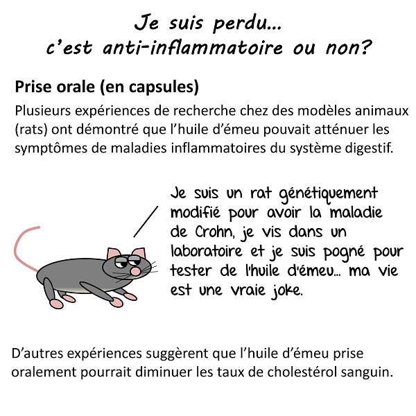 Expériences chez les rats: efficace dans certaines maladie inflammatoires intestinales comme maladie de Crohn et cholestérol