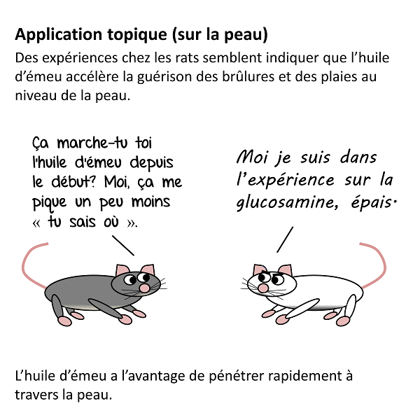 Efficace pour brûlures, irritations cutanées, blessures, coupures