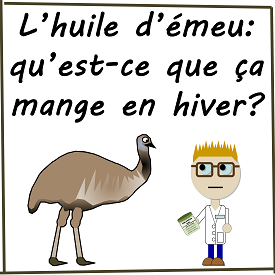 L'huile d'émeu : qu'est-ce que ça mange en hiver?
