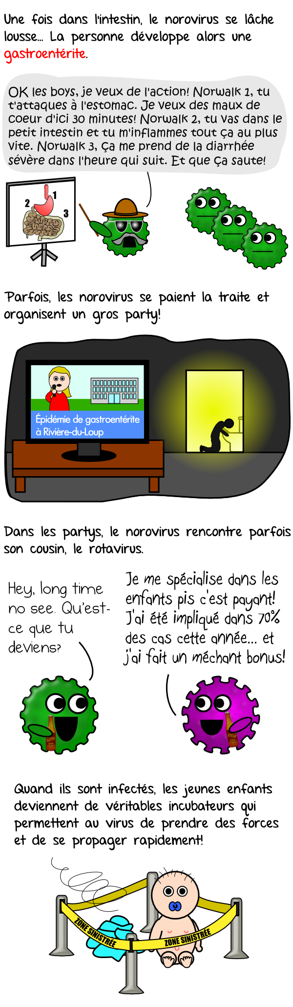 La formidable odyssée du norovirus (2)