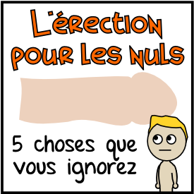 L'érection pour les nuls